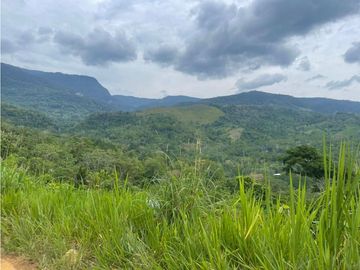 TERRENO + RIO AHUASHIYACU