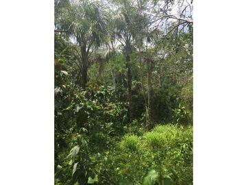 TERRENO + RIO AHUASHIYACU