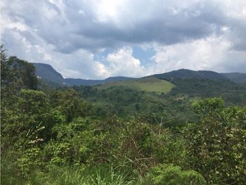 TERRENO + RIO AHUASHIYACU