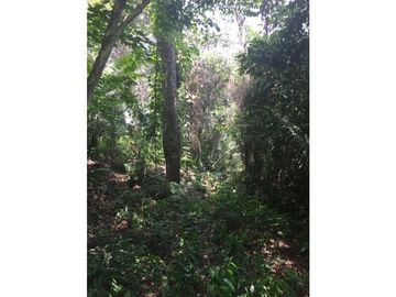 TERRENO + RIO AHUASHIYACU