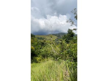TERRENO + RIO AHUASHIYACU