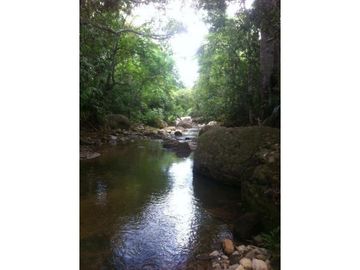 TERRENO + RIO AHUASHIYACU