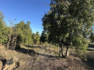 Casa en Venta en SECTOR ITAHUE
