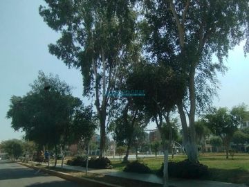 Casas Venta CAL. El Calistemo - LOS OLIVOS