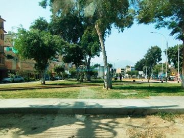Casas Venta CAL. El Calistemo - LOS OLIVOS