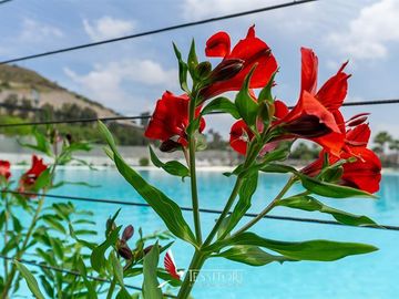 Departamento en Venta en La Rinconada