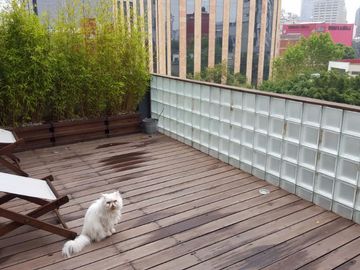 Departamento en Venta en Col. Roma Norte
