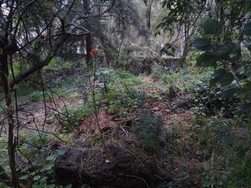 Terreno en Venta en fraccionamiento ecológico con Casa Club