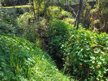 Terreno en Venta en fraccionamiento ecológico con Casa Club