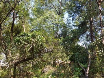 Terreno en Venta en fraccionamiento ecológico con Casa Club