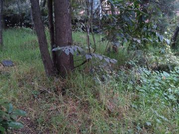 Terreno en Venta en fraccionamiento ecológico con Casa Club
