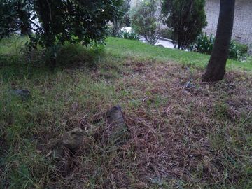 Terreno en Venta en fraccionamiento ecológico con Casa Club