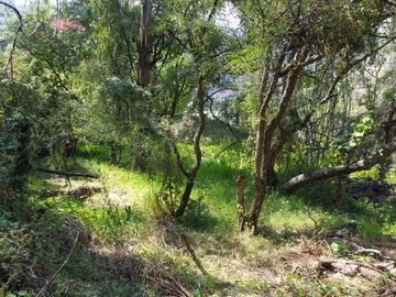 Terreno en Venta en fraccionamiento ecológico con Casa Club