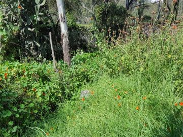 Terreno en Venta en fraccionamiento ecológico con Casa Club