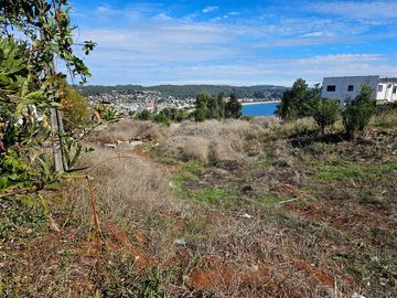 Sitio en Venta en DICHATO, Sector Villarrica Alto, Pasaje Pingueral
