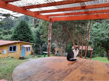 Se vende Centro vacacional en Mehuin