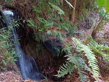 Se vende Centro vacacional en Mehuin