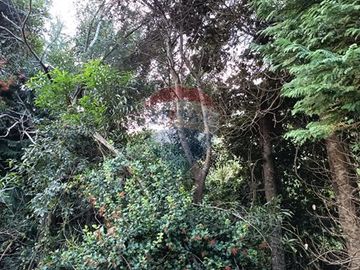Se vende Centro vacacional en Mehuin