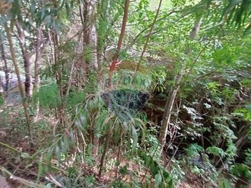 Se vende Centro vacacional en Mehuin