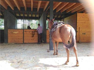 Venta Finca Luxury en Rionegro El Tablazo | Amoblada y con 2 caballos