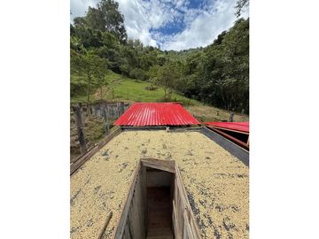 VENTA FINCA GÉNOVA QUINDIO COLOMBIA 320774----