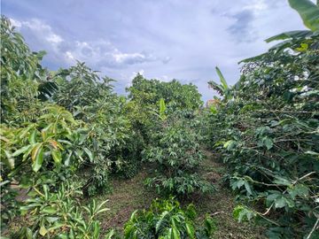 SE VENDE FINCA CAMPESTRE POR ALCALA VALLE