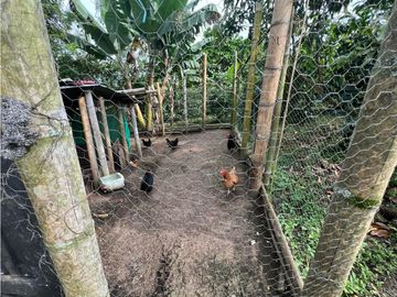 SE VENDE FINCA CAMPESTRE POR ALCALA VALLE