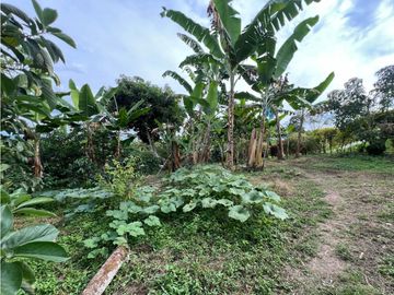SE VENDE FINCA CAMPESTRE POR ALCALA VALLE