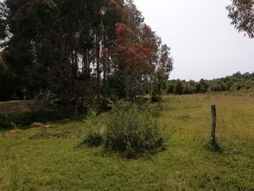 Parcela en Venta en Cariquilda