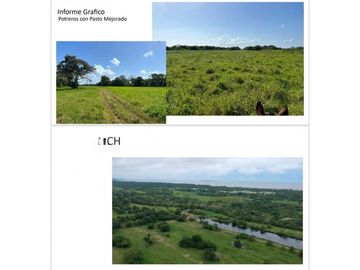 VENDO FINCA 1110HA 95% TOPOGRAFIA -Plana