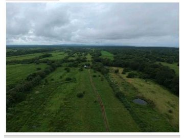 VENDO FINCA 1110HA 95% TOPOGRAFIA -Plana