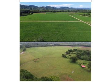 VENDO FINCA 1110HA 95% TOPOGRAFIA -Plana