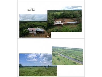 VENDO FINCA 1110HA 95% TOPOGRAFIA -Plana