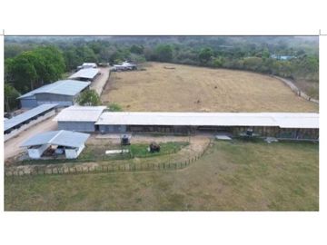 VENDO FINCA 1110HA 95% TOPOGRAFIA -Plana