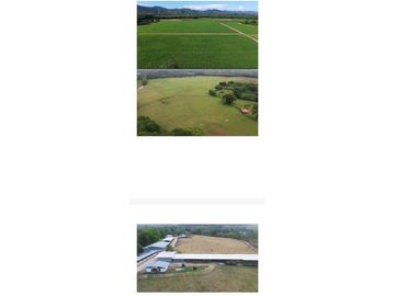 VENDO FINCA 1110HA 95% TOPOGRAFIA -Plana