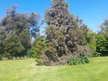 Casa en venta en PIRQUE