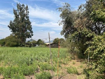 Casa en Venta en Vicuña Mackena
