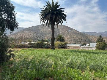 Casa en Venta en Vicuña Mackena