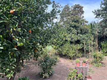 Casa en Venta en Vicuña Mackena