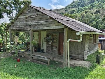 FINCA EN VENTA EN ALTO BONITO MANIZALES | VENTA DE FINCA PRODUCTIVA