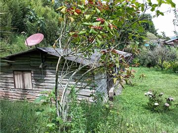 FINCA EN VENTA EN ALTO BONITO MANIZALES | VENTA DE FINCA PRODUCTIVA