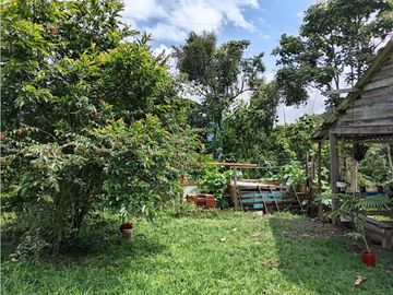 FINCA EN VENTA EN ALTO BONITO MANIZALES | VENTA DE FINCA PRODUCTIVA