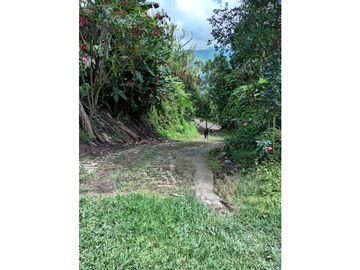 FINCA EN VENTA EN ALTO BONITO MANIZALES | VENTA DE FINCA PRODUCTIVA