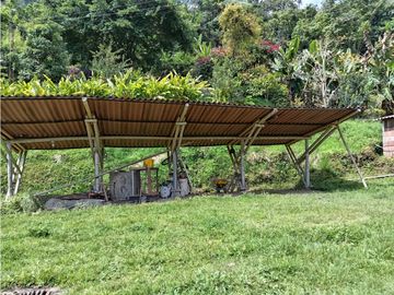 FINCA EN VENTA EN ALTO BONITO MANIZALES | VENTA DE FINCA PRODUCTIVA