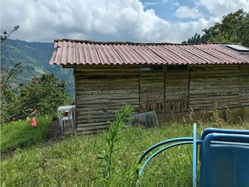 FINCA EN VENTA EN ALTO BONITO MANIZALES | VENTA DE FINCA PRODUCTIVA