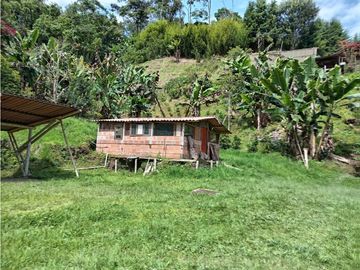 FINCA EN VENTA EN ALTO BONITO MANIZALES | VENTA DE FINCA PRODUCTIVA