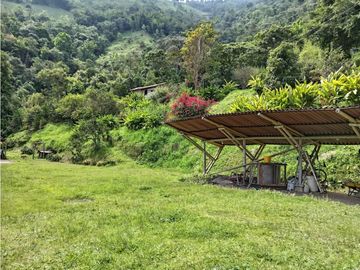FINCA EN VENTA EN ALTO BONITO MANIZALES | VENTA DE FINCA PRODUCTIVA