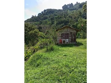 FINCA EN VENTA EN ALTO BONITO MANIZALES | VENTA DE FINCA PRODUCTIVA
