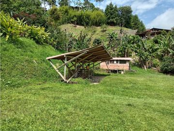 FINCA EN VENTA EN ALTO BONITO MANIZALES | VENTA DE FINCA PRODUCTIVA