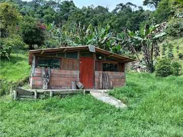 FINCA EN VENTA EN ALTO BONITO MANIZALES | VENTA DE FINCA PRODUCTIVA